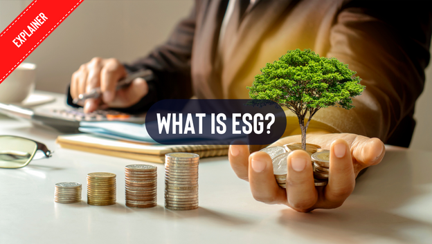 Explainer: What is ESG?