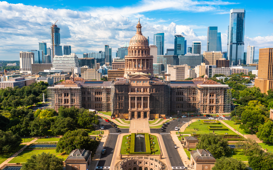 The Most Valuable Political Currency in America? A Texas Republican Primary Vote. 